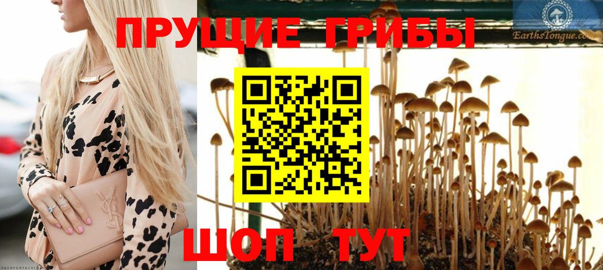 Галлюциногенные грибы MAGIC MUSHROOMS Пенза